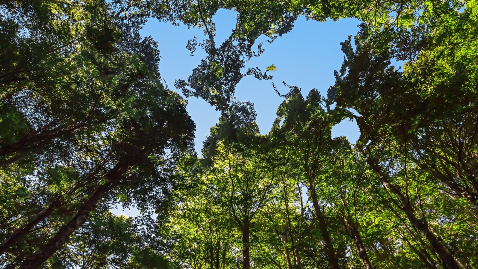 What Is the Environmental Impact of 3D Printing?