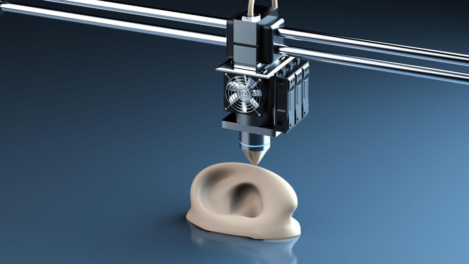 Modèle anatomique d'oreille imprimé en 3D pour le prototypage médical